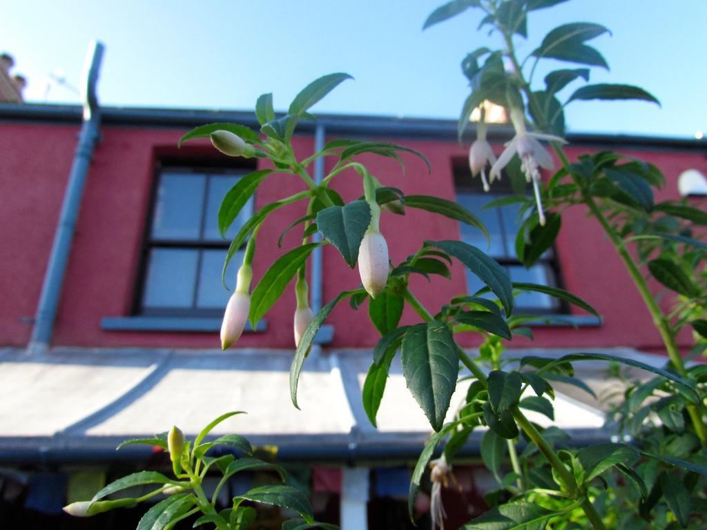 Western House Llangennith Exterior photo